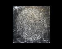 Force Field 12